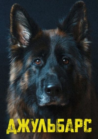 Джульбарс (2017) Джульбарс (2017)