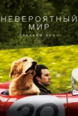 Невероятный мир глазами Энцо (2019)