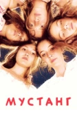 Мустанг (2015)